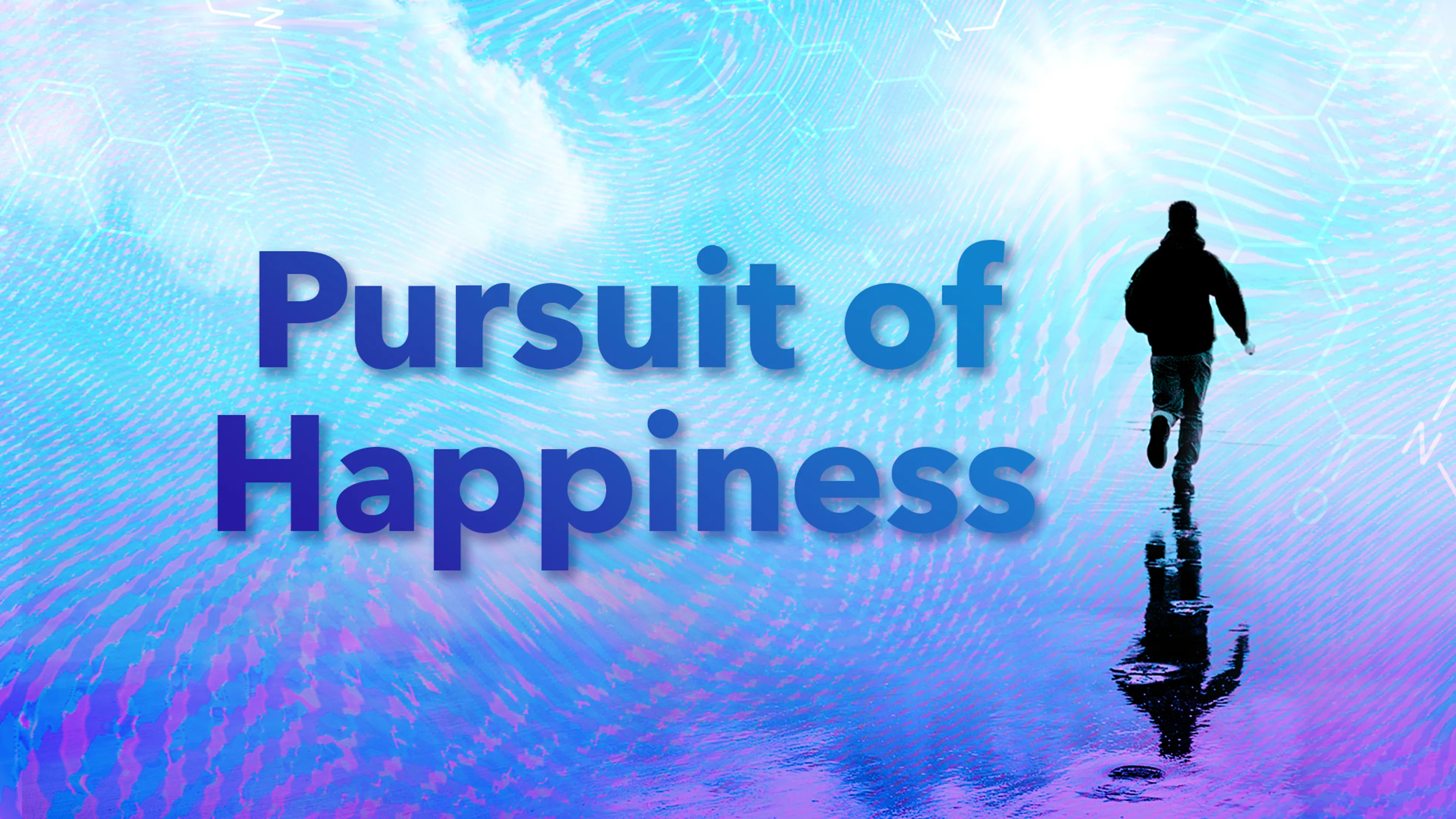 Pursuit of Happiness poster